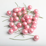 Maxbell 100 Pieces Mini Berries Artificial Foam Flower Fruit Stamens Decor Pink