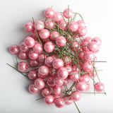 Maxbell 100 Pieces Mini Berries Artificial Foam Flower Fruit Stamens Decor Pink