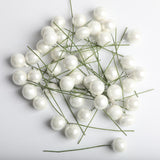 Maxbell 100 Pieces Mini Berries Artificial Foam Flower Fruit Stamens Decor White