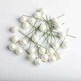 Maxbell 100 Pieces Mini Berries Artificial Foam Flower Fruit Stamens Decor White
