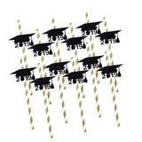 Max 12pcs Graduation Theme Disposable Drinking Straw Kids Party Tableware C