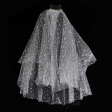 Max Wedding Bridal Veil+Comb 2/3/4 Ply Beige Flocking Snowflake+Black Mesh-4 Ply