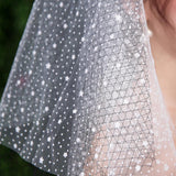 Max Wedding Bridal Veil+Comb 2/3/4 Ply Beige Flocking Snowflake+Black Mesh-4 Ply