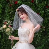 Max Wedding Bridal Veil+Comb 2/3/4 Ply Beige Flocking Snowflake+Black Mesh-4 Ply