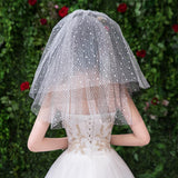 Max Wedding Bridal Veil+Comb 2/3/4 Ply Beige Flocking Snowflake+Black Mesh-4 Ply