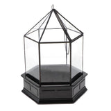 Max 3D Geometric CandleHolder Terrarium Glass Flower House Plant Container