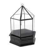 Max 3D Geometric CandleHolder Terrarium Glass Flower House Plant Container