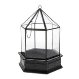 Max 3D Geometric CandleHolder Terrarium Glass Flower House Plant Container