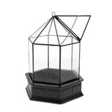 Max 3D Geometric CandleHolder Terrarium Glass Flower House Plant Container