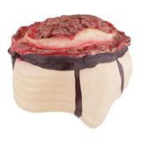 Max Scary Bloody Brain Bone Props Halloween Party Haunted House Decors Brown