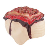 Max Scary Bloody Brain Bone Props Halloween Party Haunted House Decors Brown