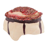 Max Scary Bloody Brain Bone Props Halloween Party Haunted House Decors Brown