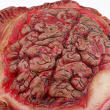 Max Scary Bloody Brain Bone Props Halloween Party Haunted House Decors Brown