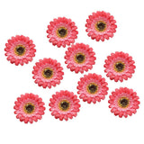 Max 10xArtificial Fabric Daisy Flower Head DIY Craft Project Dia 8cm Red