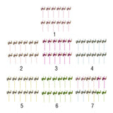 Max 12 Pieces Party Paper Straws Rainbow Stripe Paper Drinking Straw Hot Pink