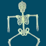 Max Halloween Horror Luminous Skull Frame Prop for House Party Decor 32x6cm