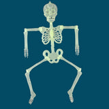 Max Halloween Horror Luminous Skull Frame Prop for House Party Decor 32x6cm