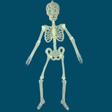 Max Halloween Horror Luminous Skull Frame Prop for House Party Decor 32x6cm