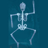 Max Halloween Horror Luminous Skull Frame Prop for House Party Decor 32x6cm