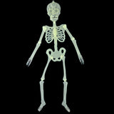 Max Halloween Horror Luminous Skull Frame Prop for House Party Decor 32x6cm