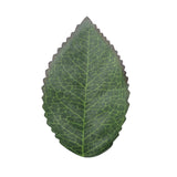 Max 100x Fake Rose Leaves Wedding Christmas Party Centerpiece Decor DIY Craft
