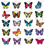 Maxbell 20Pcs Butterfly Window Clings Window Decals Bathroom Living Room Ornament