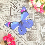 Maxbell 20Pcs Butterfly Window Clings Window Decals Bathroom Living Room Ornament