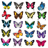 Maxbell 20Pcs Butterfly Window Clings Window Decals Bathroom Living Room Ornament