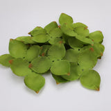 Maxbell Artificial Leaves Green Leaves Greenery for DIY Bridal Shower Backdrop