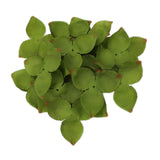 Maxbell Artificial Leaves Green Leaves Greenery for DIY Bridal Shower Backdrop