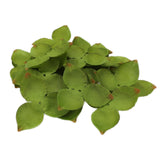 Maxbell Artificial Leaves Green Leaves Greenery for DIY Bridal Shower Backdrop