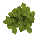 Maxbell Artificial Leaves Green Leaves Greenery for DIY Bridal Shower Backdrop