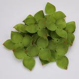 Maxbell Artificial Leaves Green Leaves Greenery for DIY Bridal Shower Backdrop