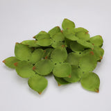 Maxbell Artificial Leaves Green Leaves Greenery for DIY Bridal Shower Backdrop