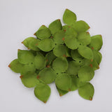 Maxbell Artificial Leaves Green Leaves Greenery for DIY Bridal Shower Backdrop