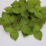Maxbell Artificial Leaves Green Leaves Greenery for DIY Bridal Shower Backdrop