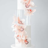 Maxbell Clear Acrylic Cake Stand Cake Riser Cake Tier Cake Tool for Wedding Birthday 25cm x 20cm x 0.3cm