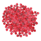 Maxbell 200 Pieces Wedding Flowers Confetti for Birthdays Centerpieces Red