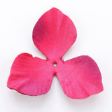 Maxbell 200 Pieces Wedding Flowers Confetti for Birthdays Centerpieces Rose Red