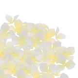 Maxbell 200 Pieces Wedding Flowers Confetti for Birthdays Centerpieces Beige