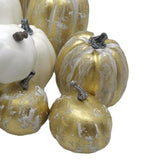 Maxbell 14 Pieces Artificial Pumpkins Foam Crafts Display for Thanksgiving Holiday