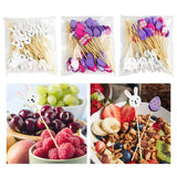 Maxbell 100x Fruit Picks Sandwiches Appetizers for Celebration Summer Party Easter Rabbit