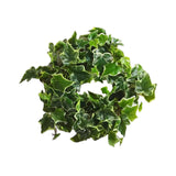 Maxbell Spring Wreath Front Door Spring Summer Wreath Seasons Wreath for Patio 35cm