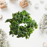Maxbell Spring Wreath Front Door Spring Summer Wreath Seasons Wreath for Patio 35cm