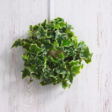 Maxbell Spring Wreath Front Door Spring Summer Wreath Seasons Wreath for Patio 35cm