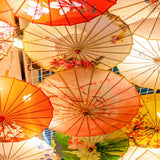 Maxbell Oiled Paper Umbrella 70cm Ancient Dance Umbrella for Costumes Parties Events Style B