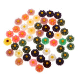 Maxbell 50 Pieces Assorted Daisy Resin Flatback Embellishment for DIY Hair Accessories Crafts