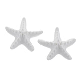 2 Pieces Seastar Aroma Fragrance Stone DIY Essential Oil Diffuser for Home Decoration