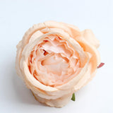 Maxbell 10 Pieces Artificial Rose Flower Head DIY Wedding Decorations Pink Champagne
