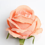 Maxbell 10 Pieces Artificial Rose Flower Head DIY Wedding Decorations orange